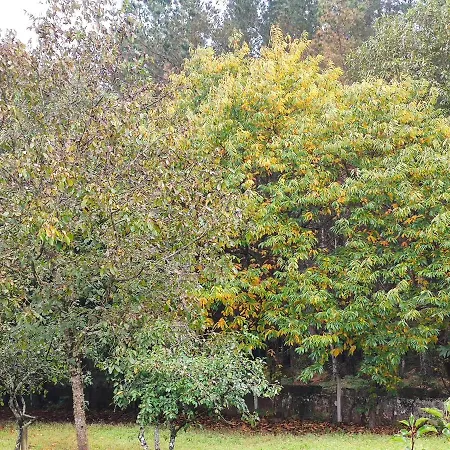 Casa Moucheiro Holiday home *