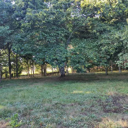 Casa Moucheiro Holiday home Lugo