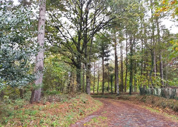 Casa Moucheiro Сasa de vacaciones