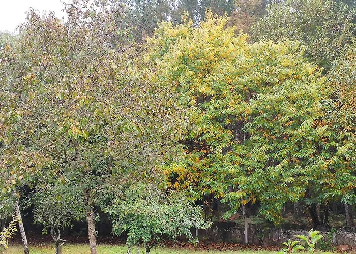 Casa Moucheiro Сasa de vacaciones *